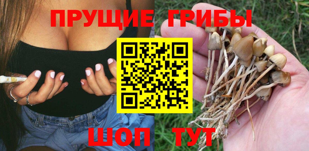 Северодвинск  Галлюциногенные грибы Magic Shrooms  Вход с VPN 
